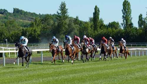Horses run on a racetrack